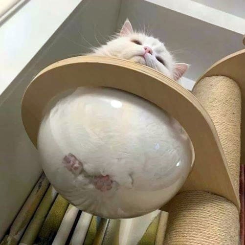 Kgd4hyn4dmvotx8lr 23bqgqlxv2tyeyazj41hhugpto xlhvjijxcok xmaa6deevuyoio4