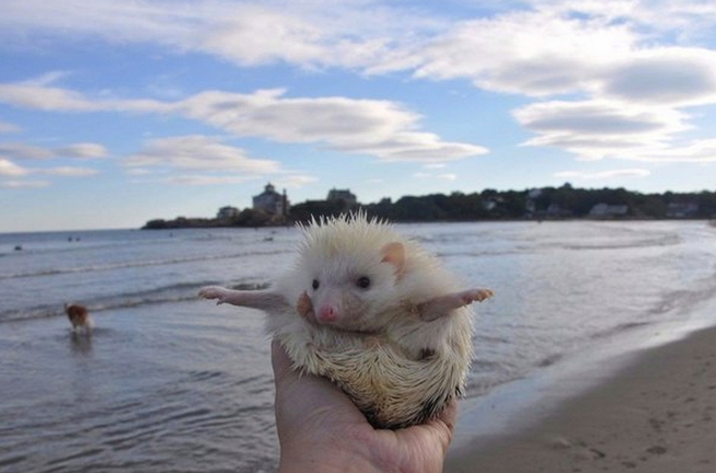 11138155 939717156050025 5114468366547160746 n