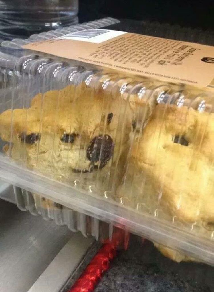 05 15 27 16540000761496967331