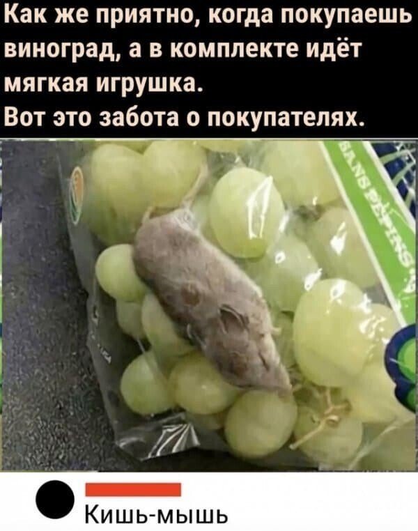 2022 06 05 mixnews comment4