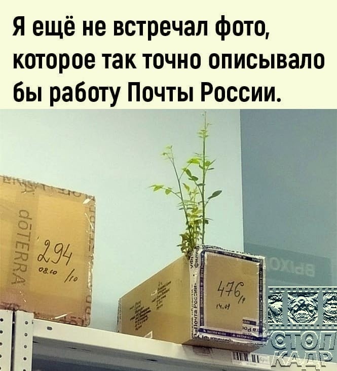 Wu1l bwdkzdalcmon39dffslf7lz9ktgfnrls 8j5ivqn5hfesy6jjrfh9091ieke2ay vh7zuygwdteojpzerqw