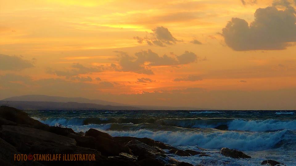  21730970 705 450718049146