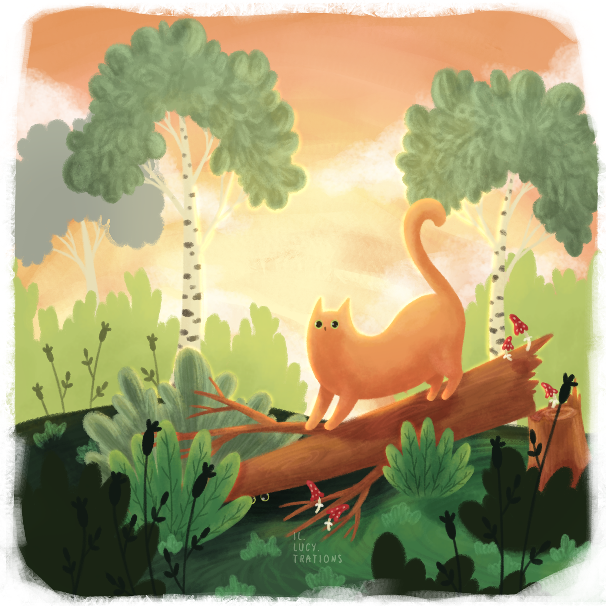 %d0%ba%d0%be%d1%82%d1%8b %d0%b2 %d0%bb%d0%b5%d1%81%d1%83 %d0%be%d0%b4%d0%b8%d0%bd%d0%be%d1%87%d0%b5%d1%81%d1%82%d0%b2%d0%be %d1%81%d0%b2%d0%b5%d0%b4%d0%b5%d0%bd%d0%be1