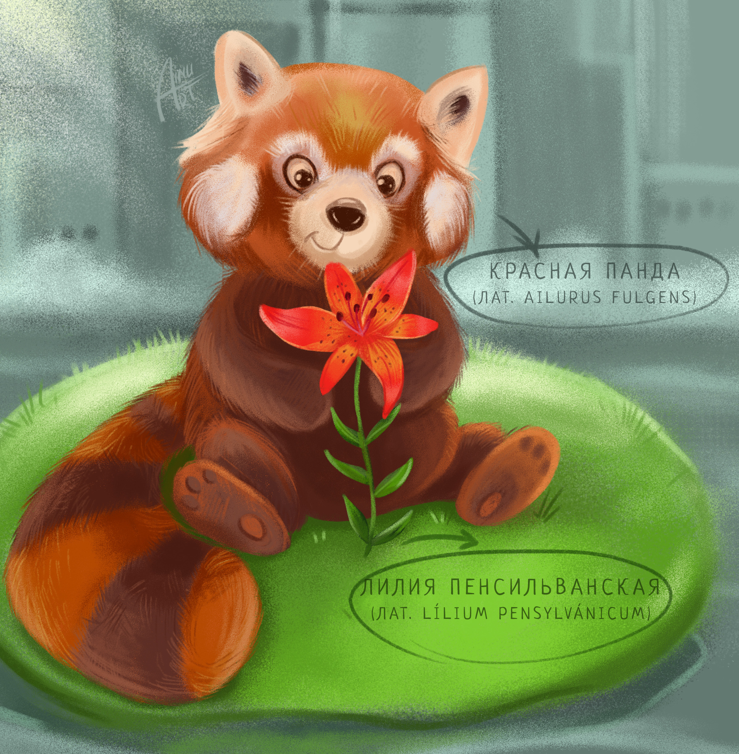 %d0%9f%d0%b0%d0%bd%d0%b4%d0%b0 %d0%bc%d0%b0%d0%bb%d0%b0%d1%8f