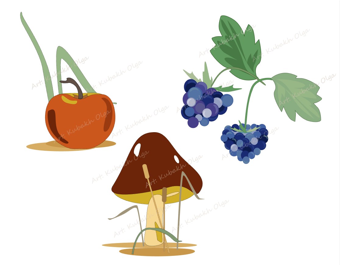 Forest gifts. blackberry. apple. mushrooms. illustration.
