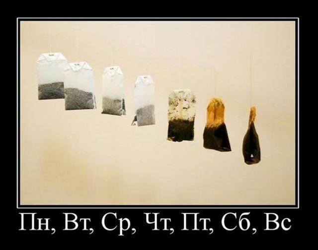 2022 06 10 mixnews 1654796844 3