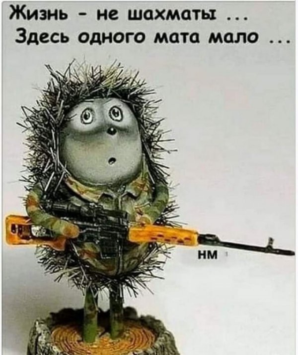 2022 06 10 mixnews 1 15