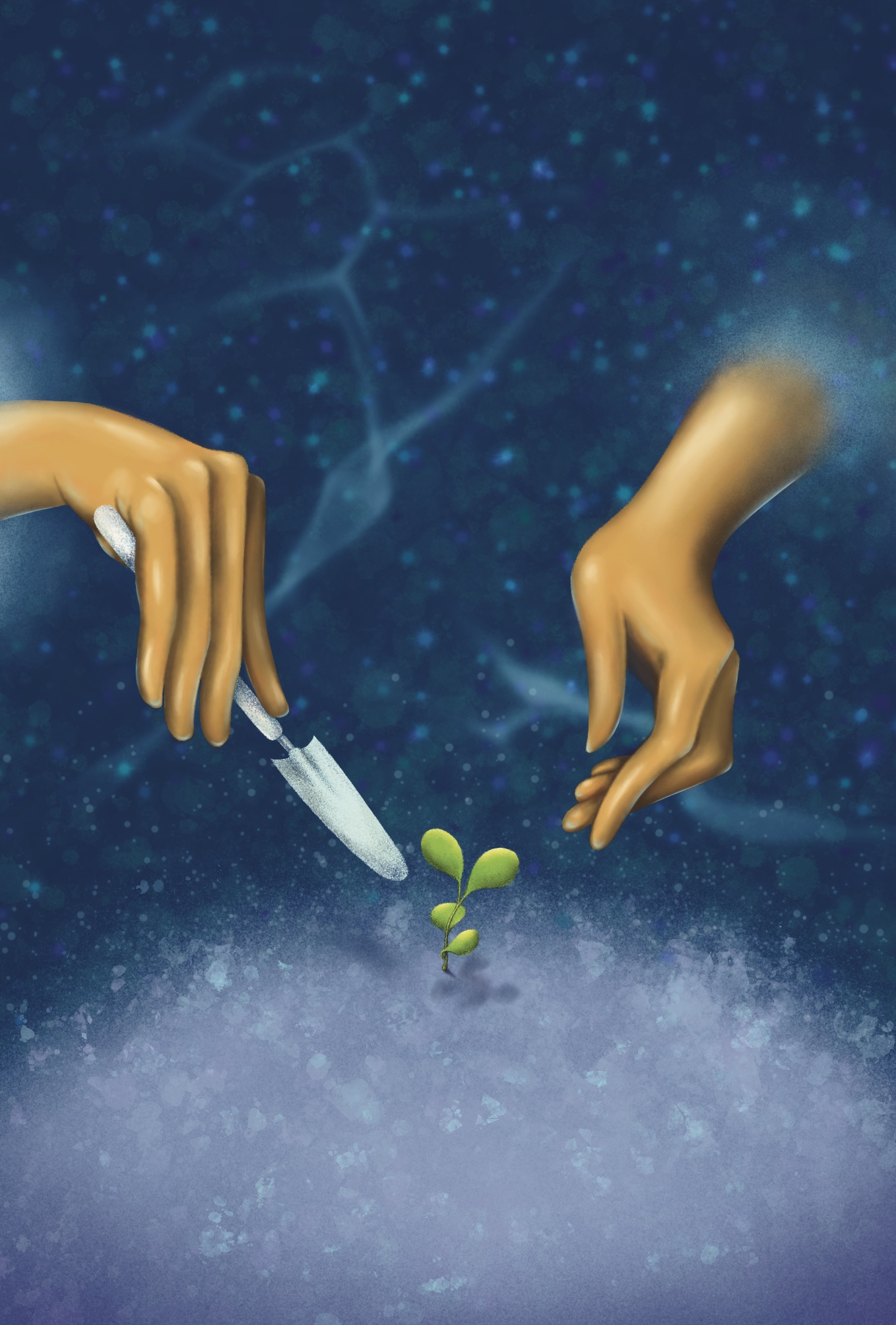 Image 28 04 22 08 58