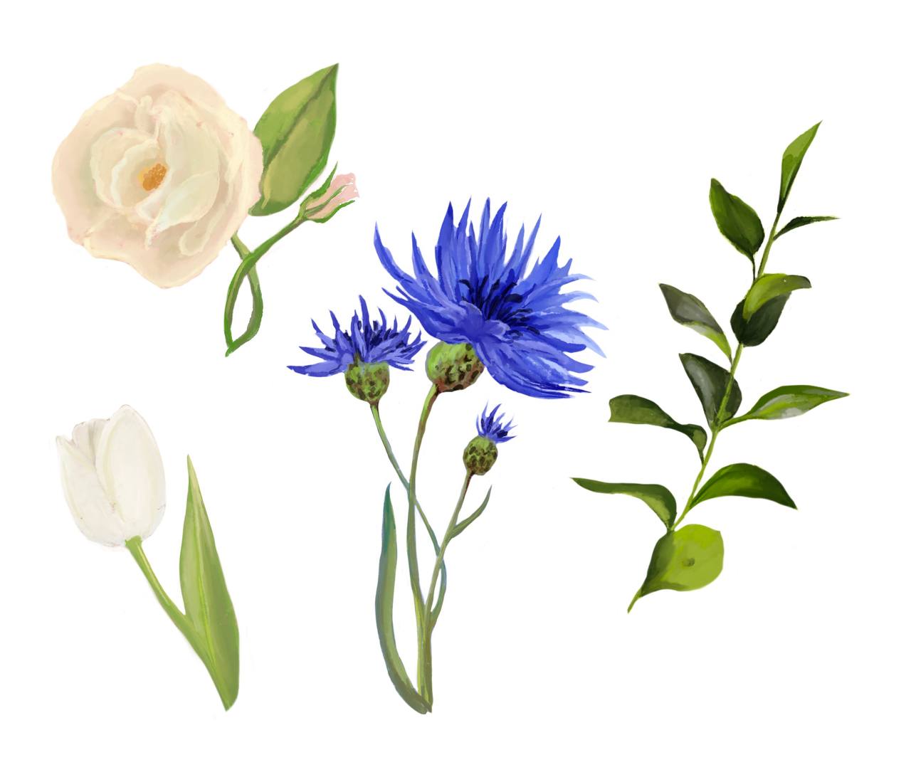 6b382ac5 1e0b 4dca 8af8 738adbb2a516