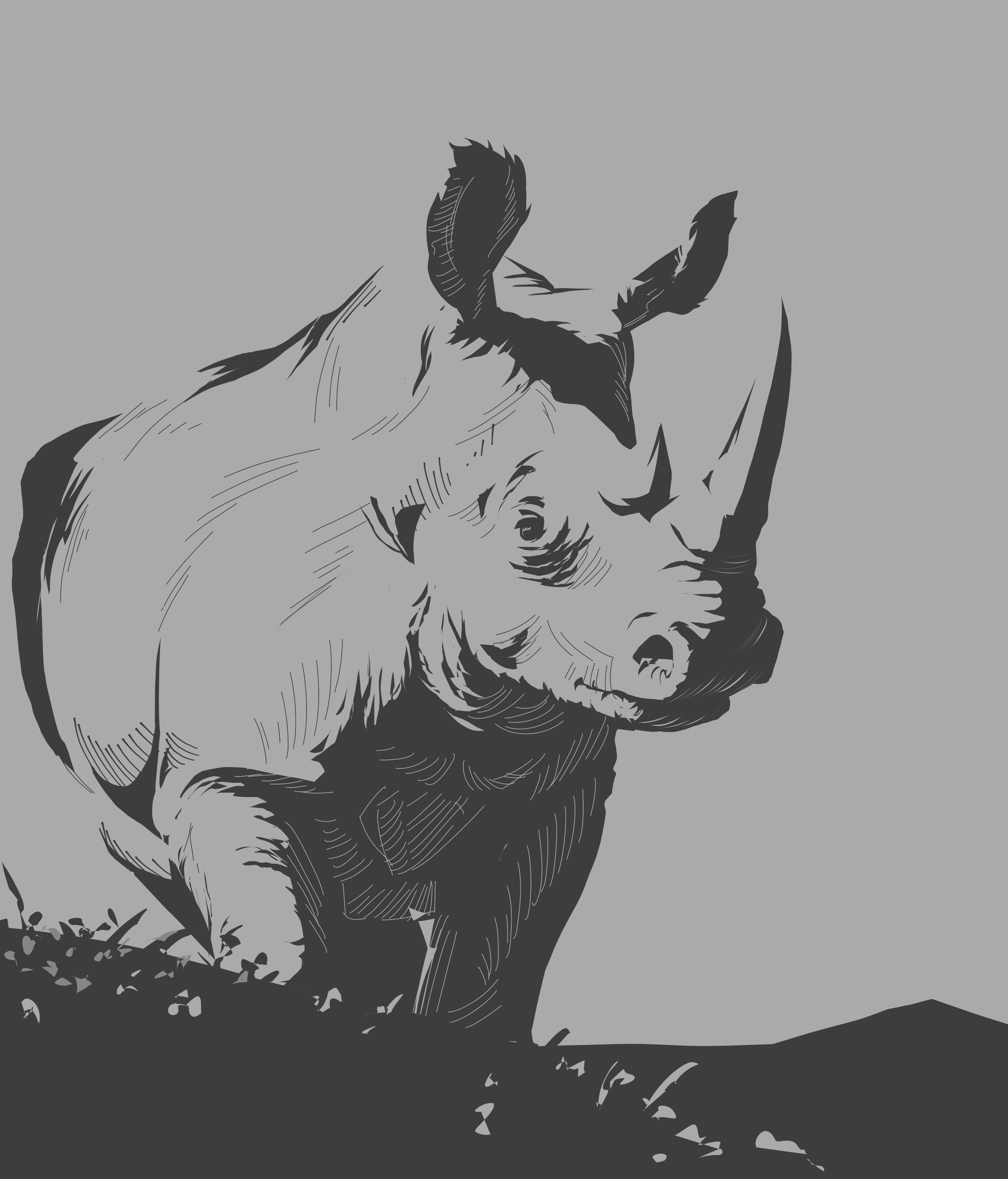 Rhinoceros study