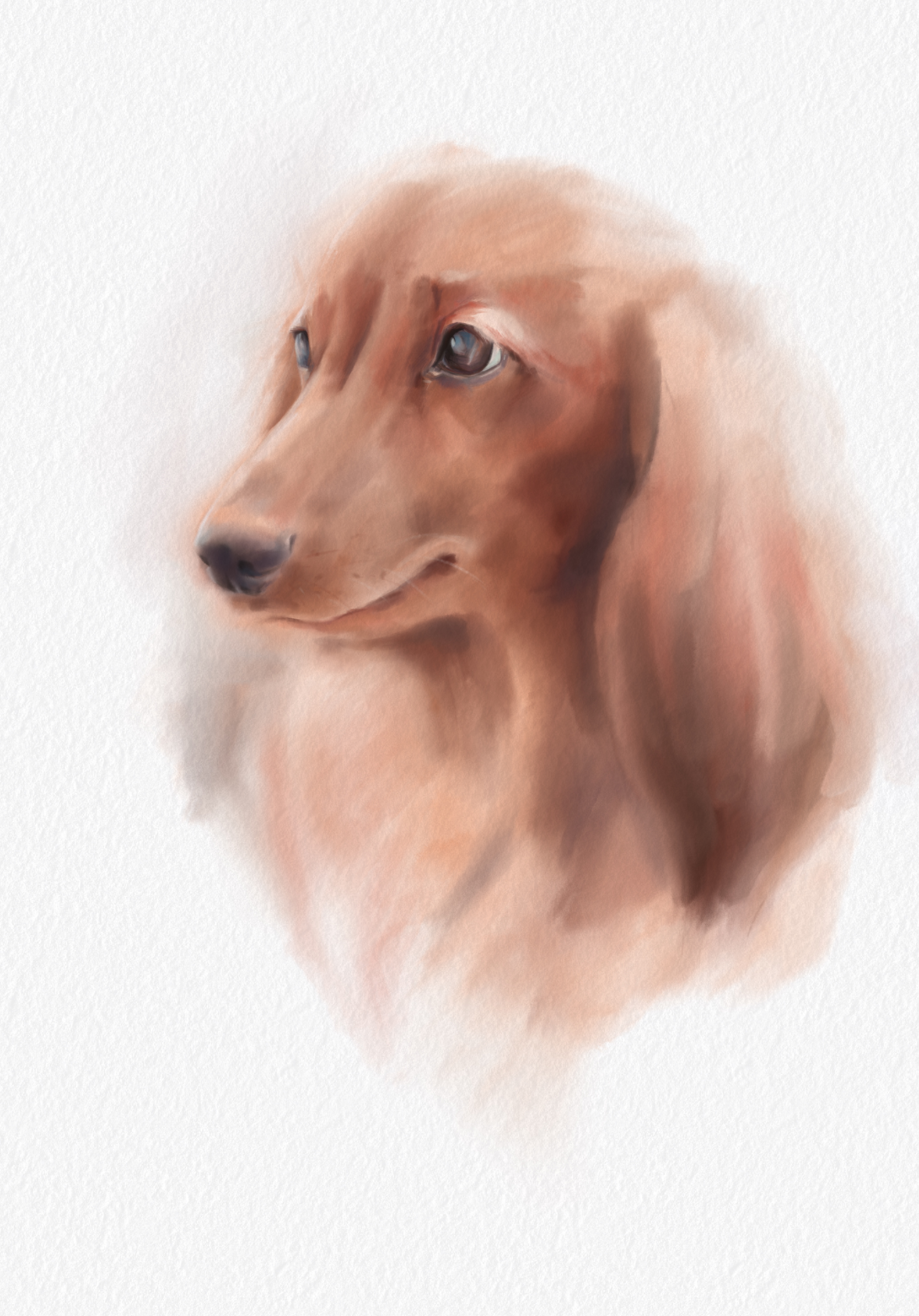 Screenshot 20201226 120805