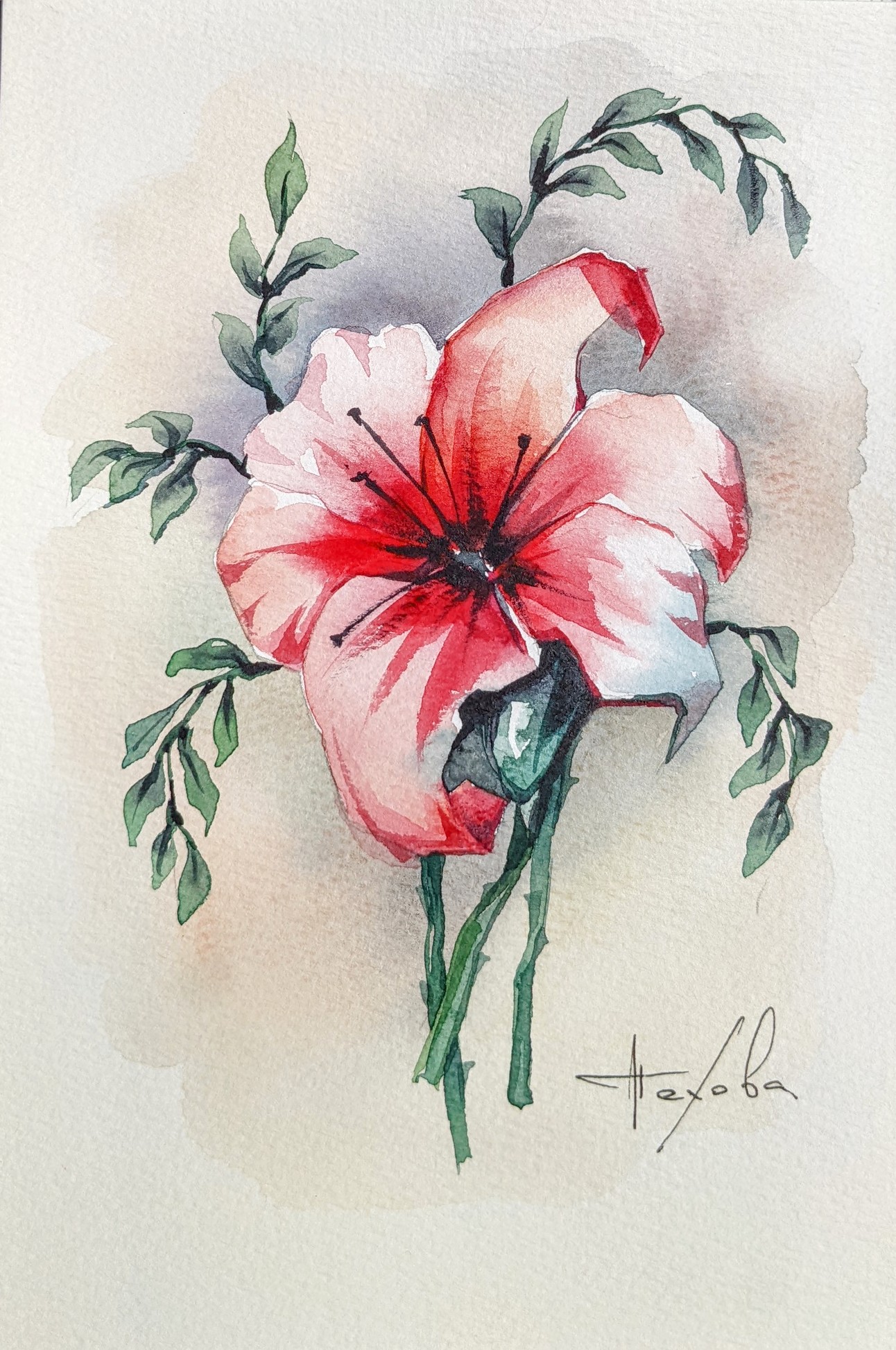 Pxl 20220629 085903326.mp 2