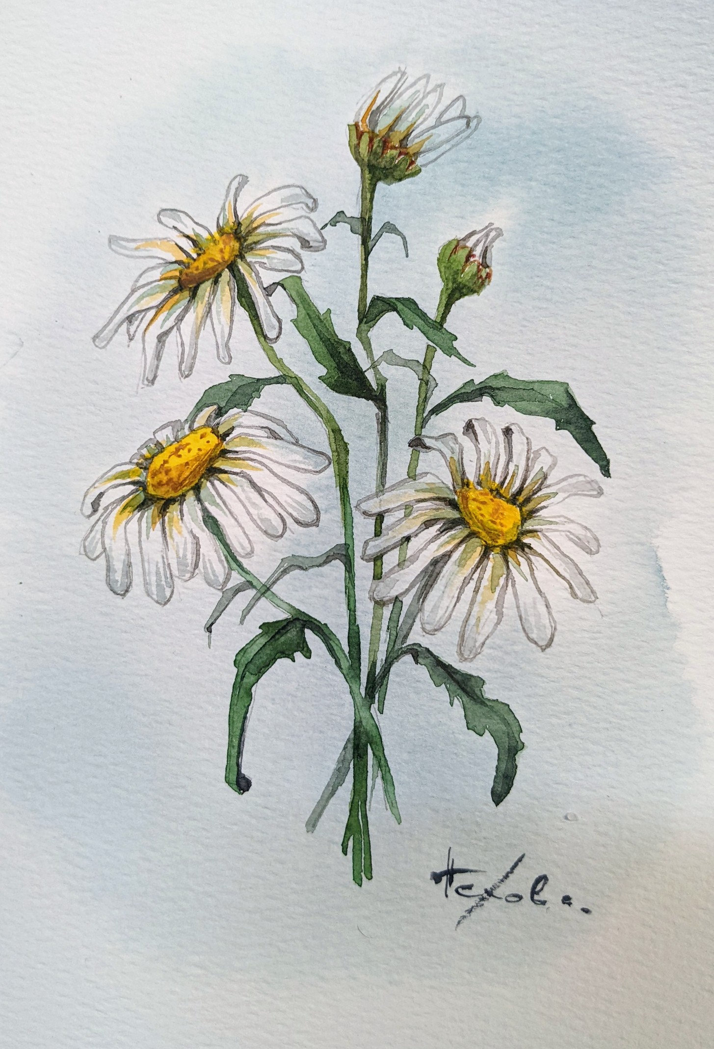 Pxl 20220710 194414955 2