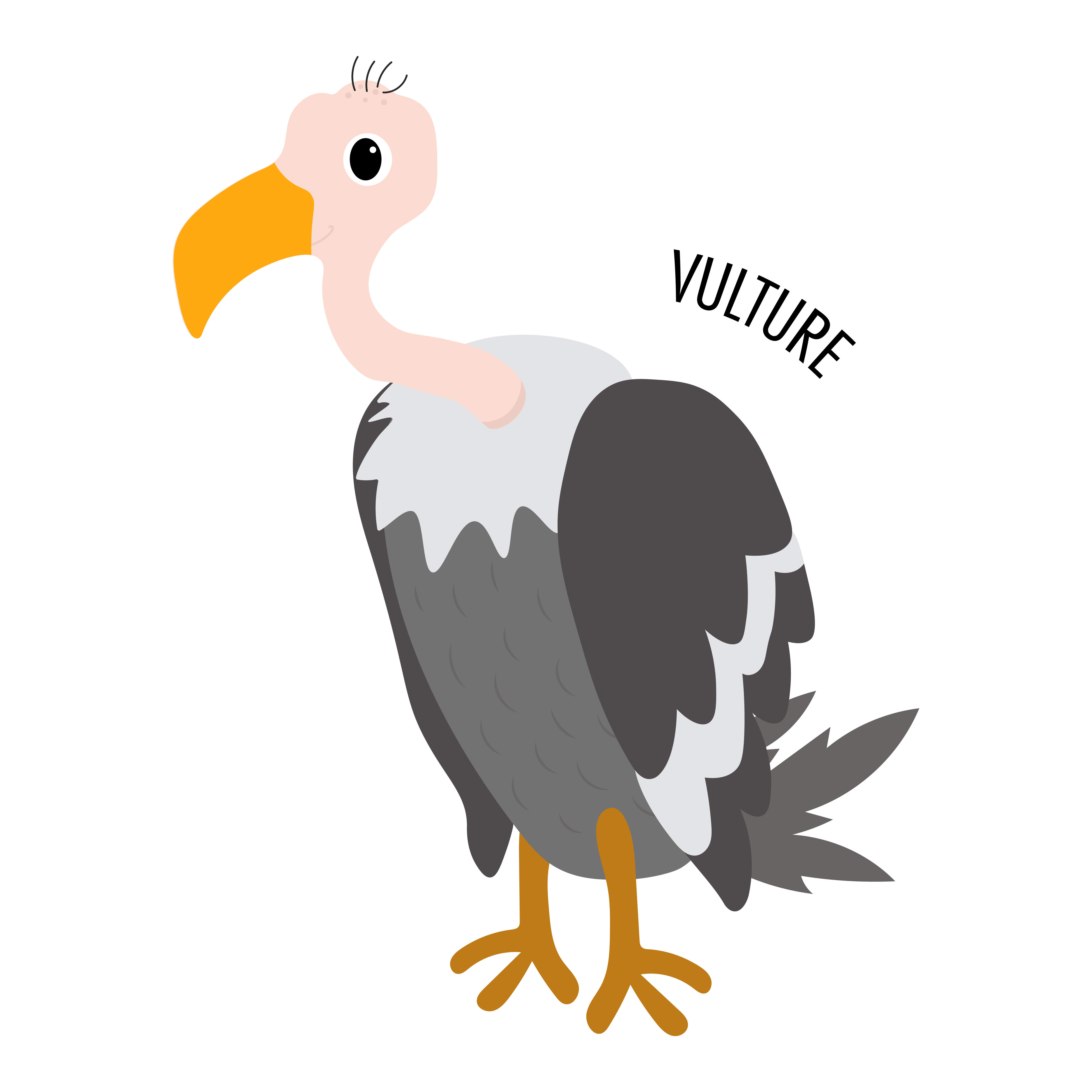 Vulture