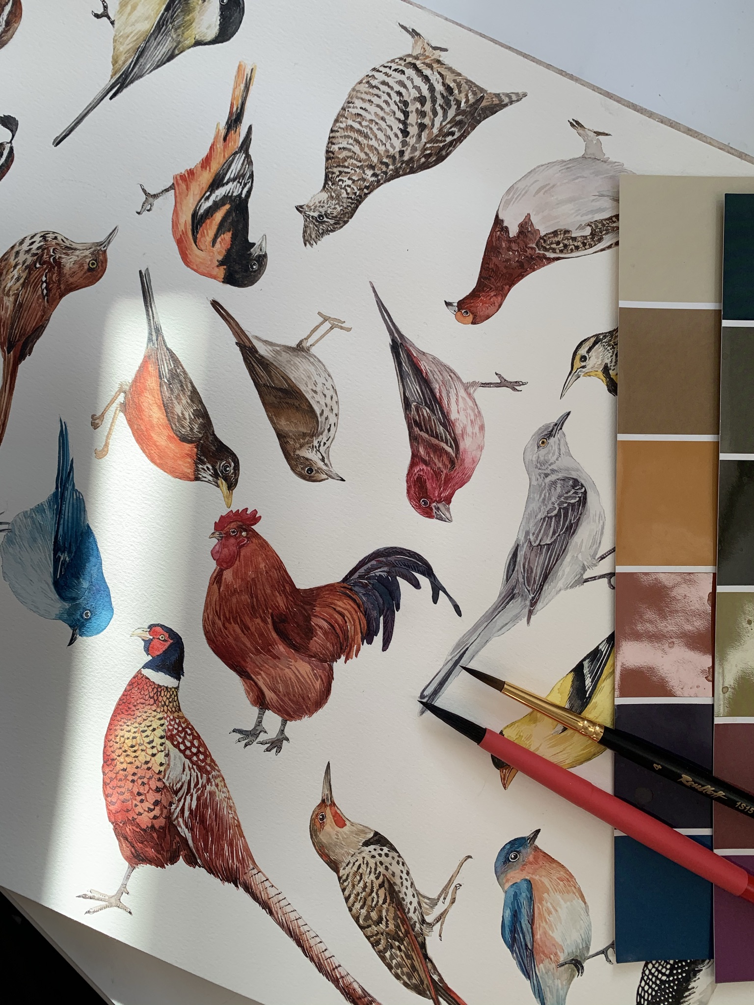 893eb83b 085c 47d8 bfa8 d68ed7316a9e