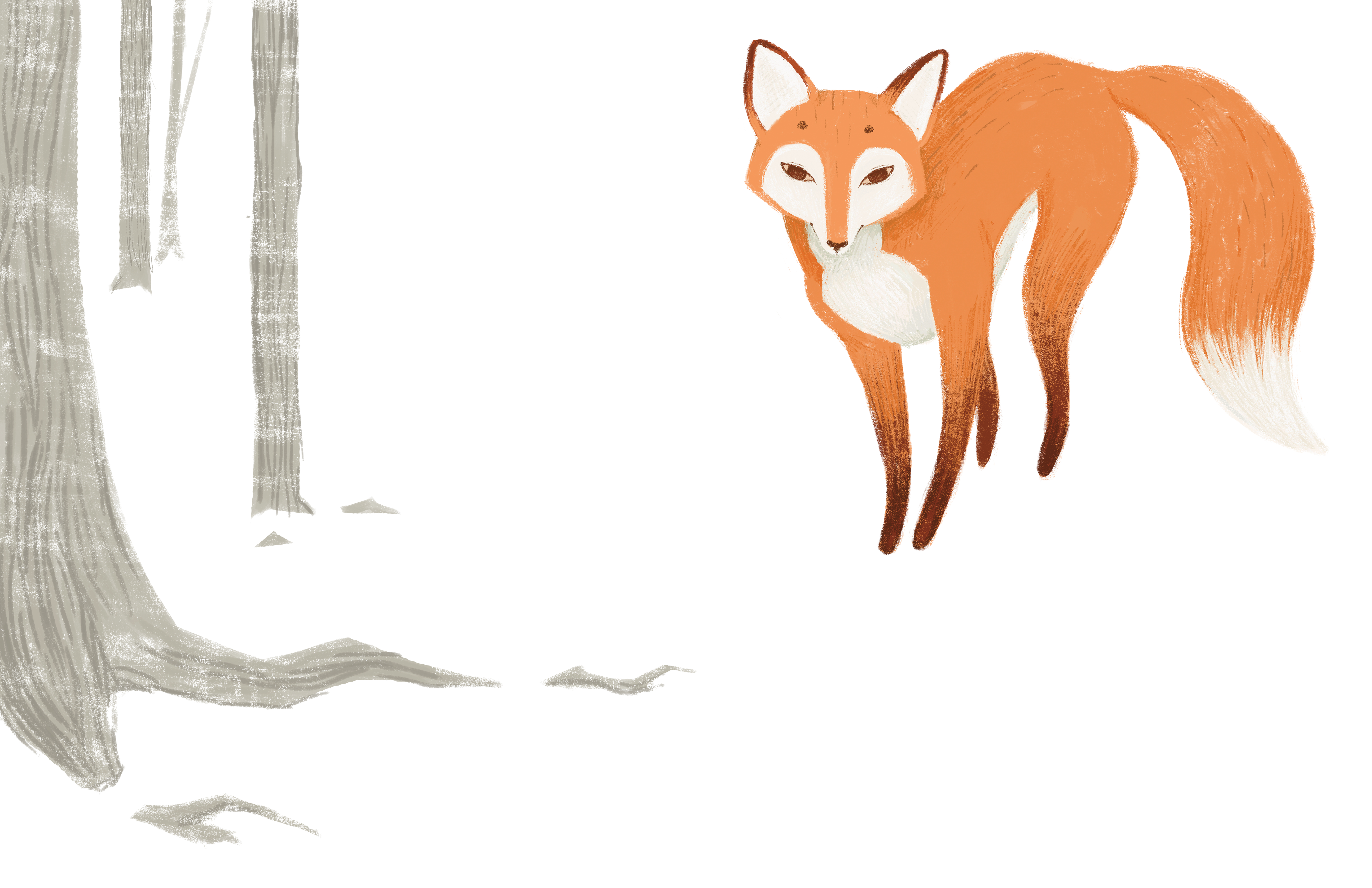 %d1%81 %d1%84%d0%be%d0%bd%d0%be%d0%bc 2