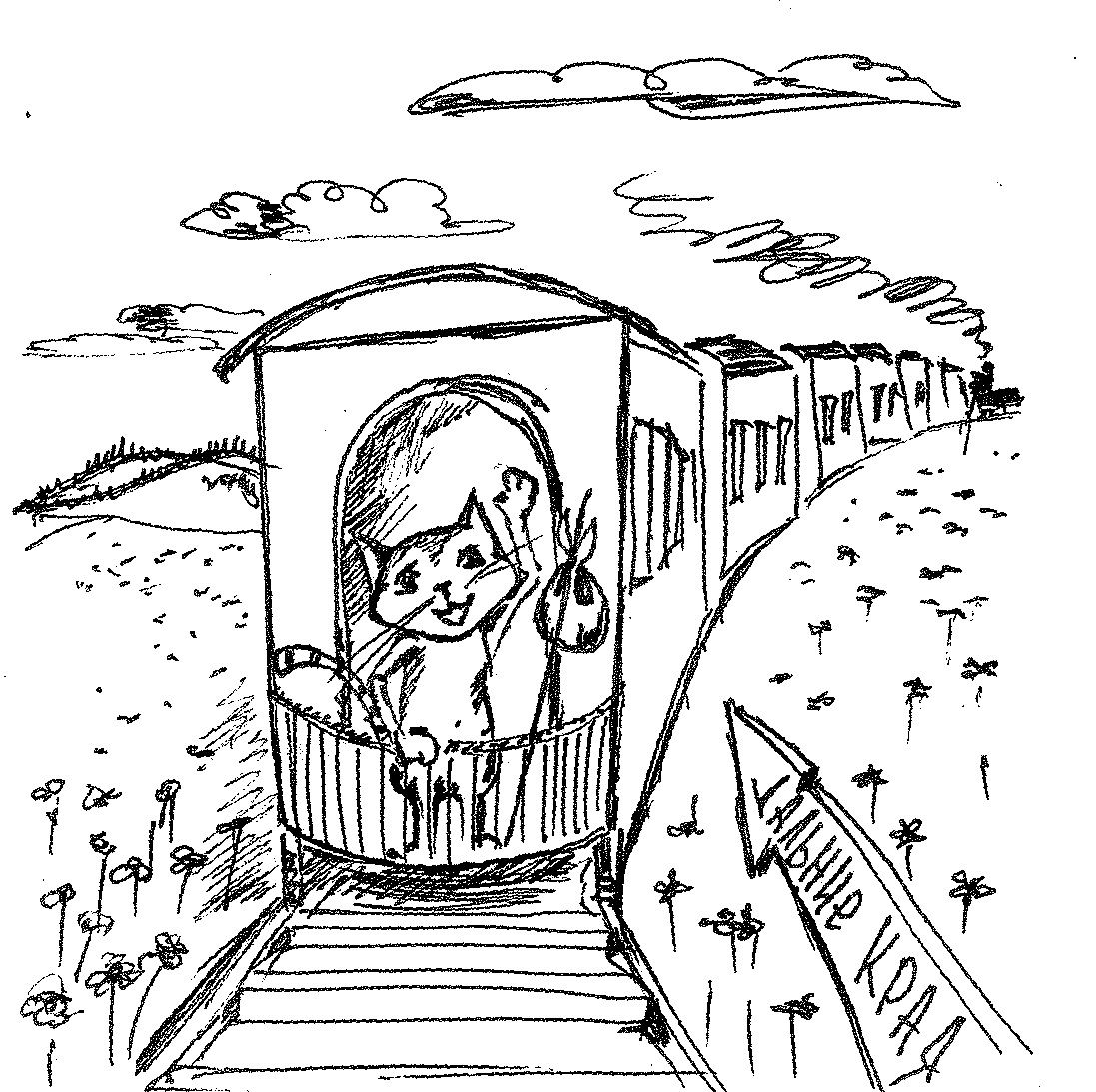 27 %d0%bc%d0%b0%d1%8f