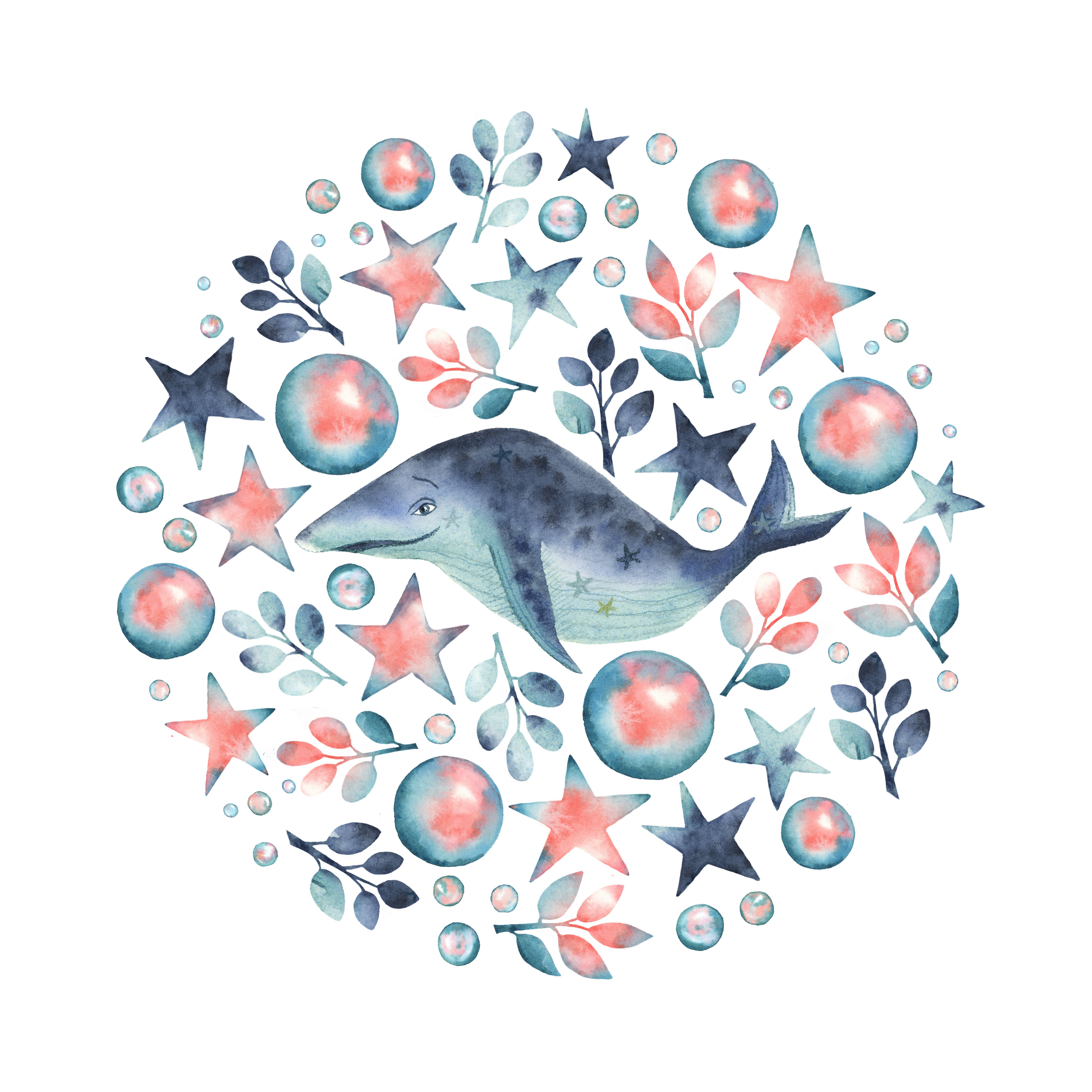 Star whale circle