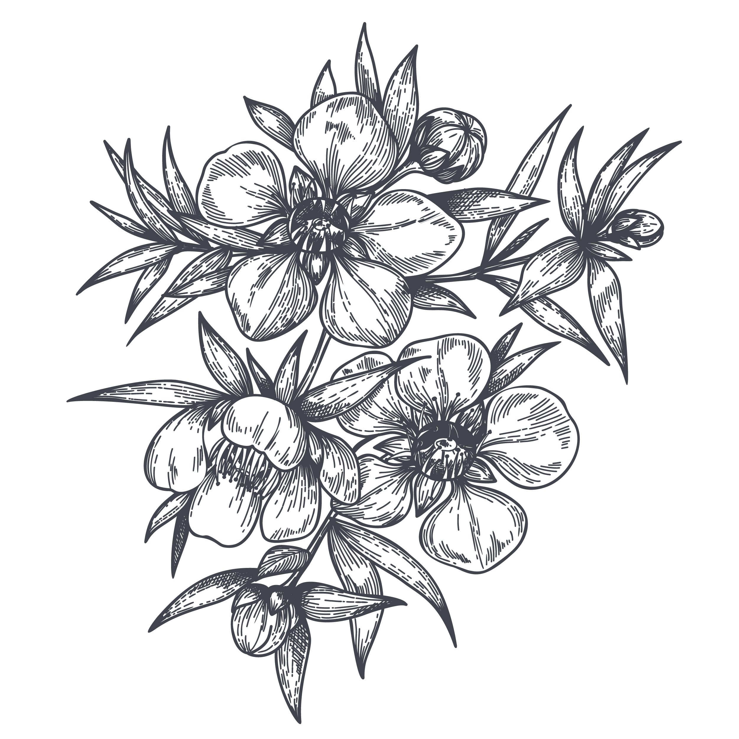 %d0%be%d0%b1%d1%8a%d0%b5%d0%ba%d1%82%d1%8b 05