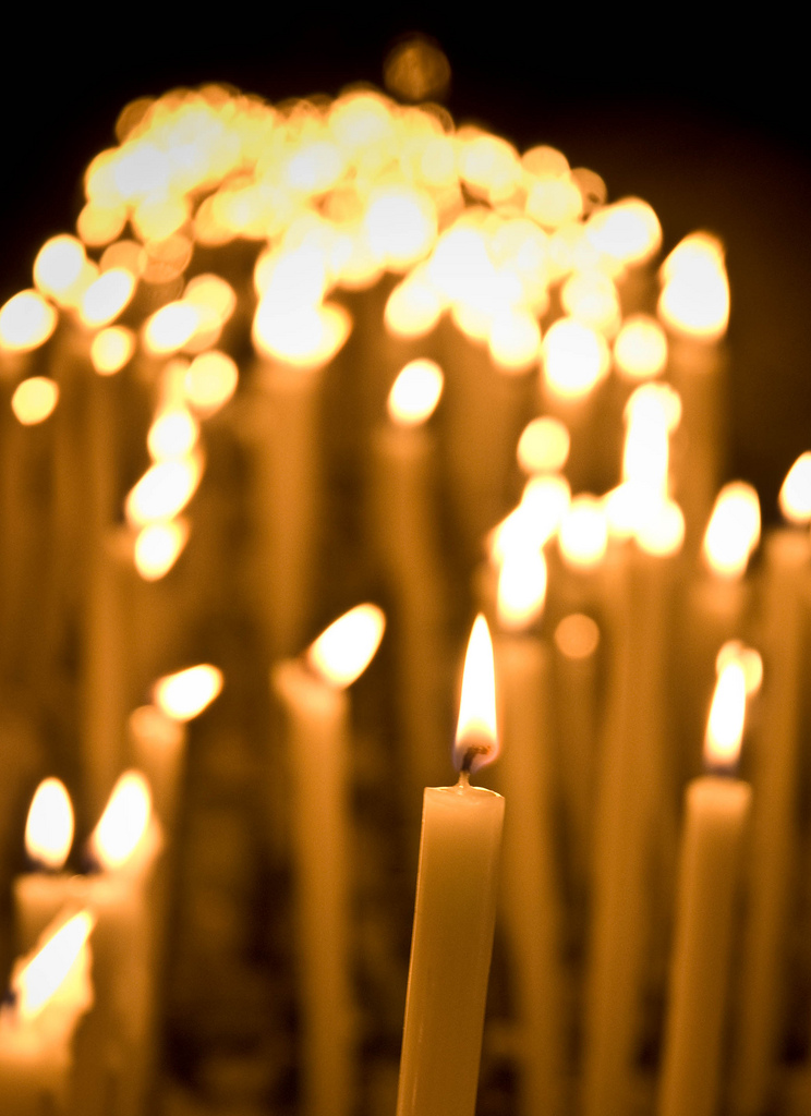 5542065965 e964ce67d1 b