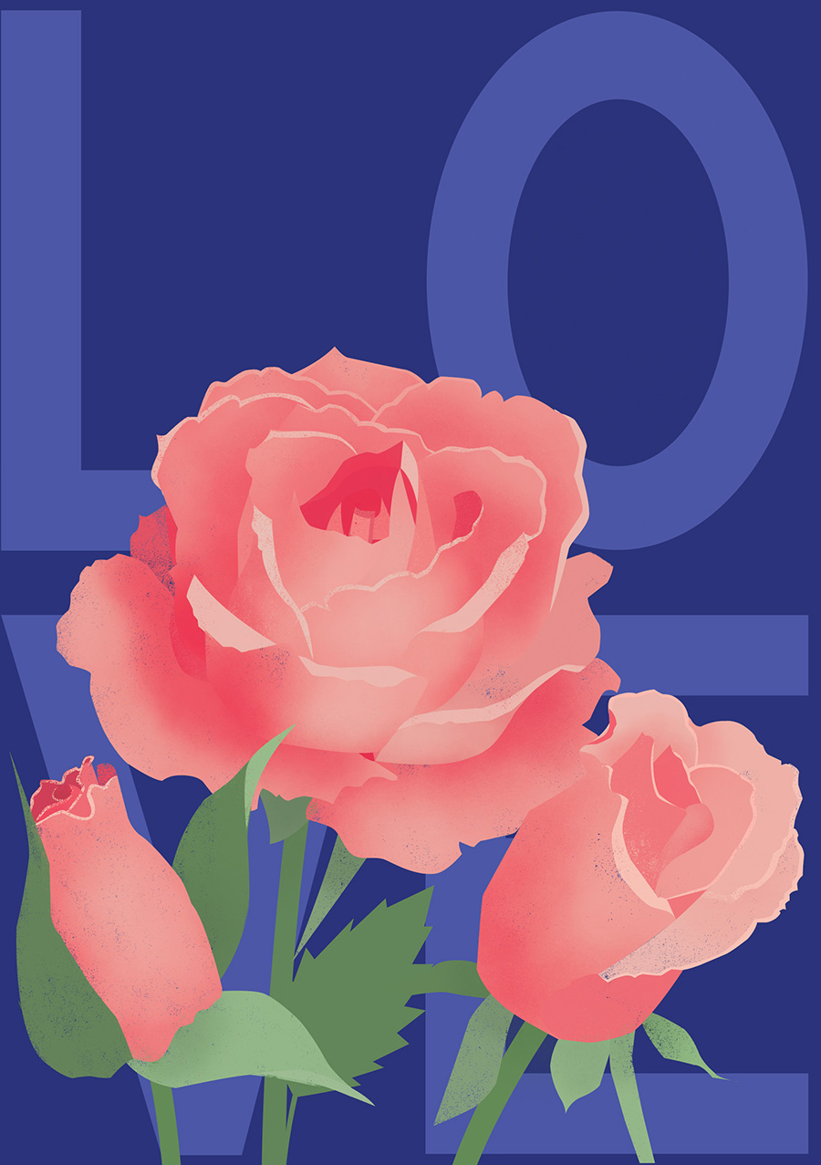 1 rose flower greeting card love