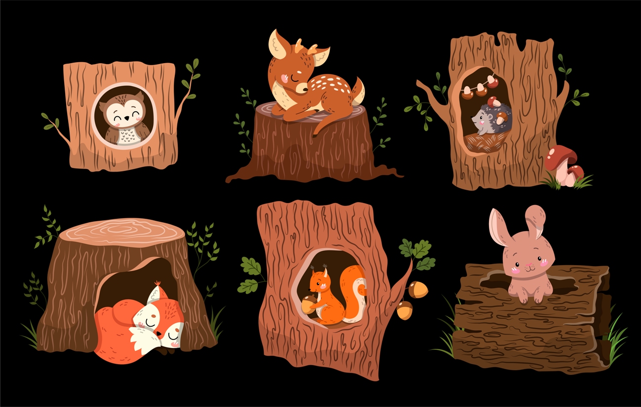 Forest animals1