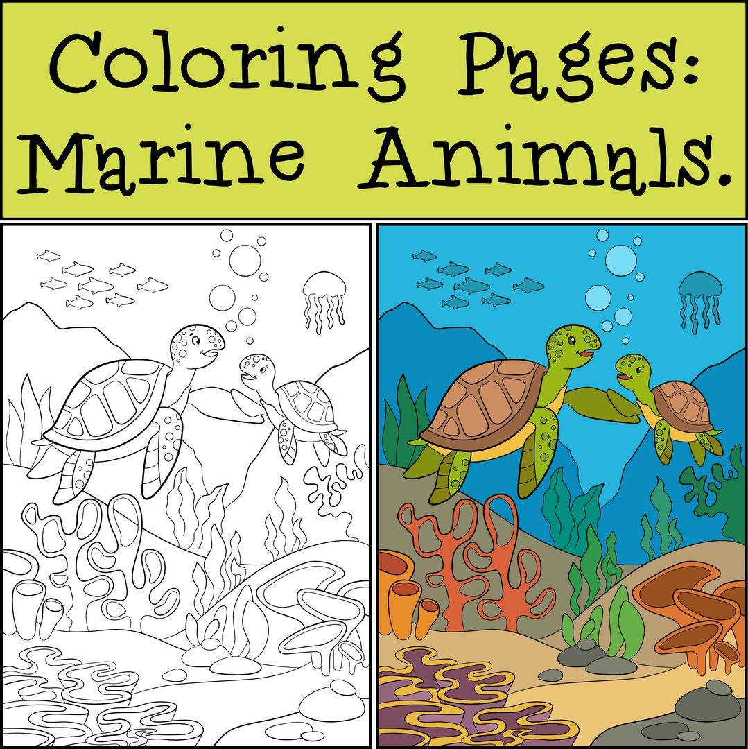 Sea turtle01 color example