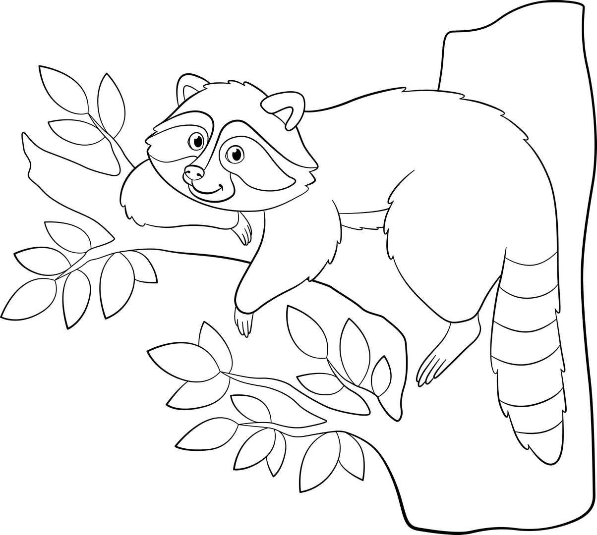 Raccoon01 03 coloring page