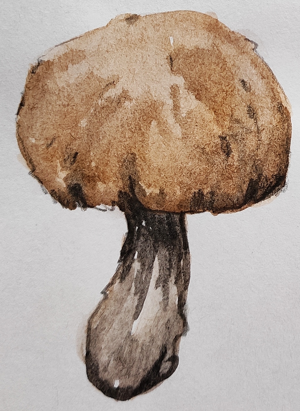 Img 20221016 144948 01