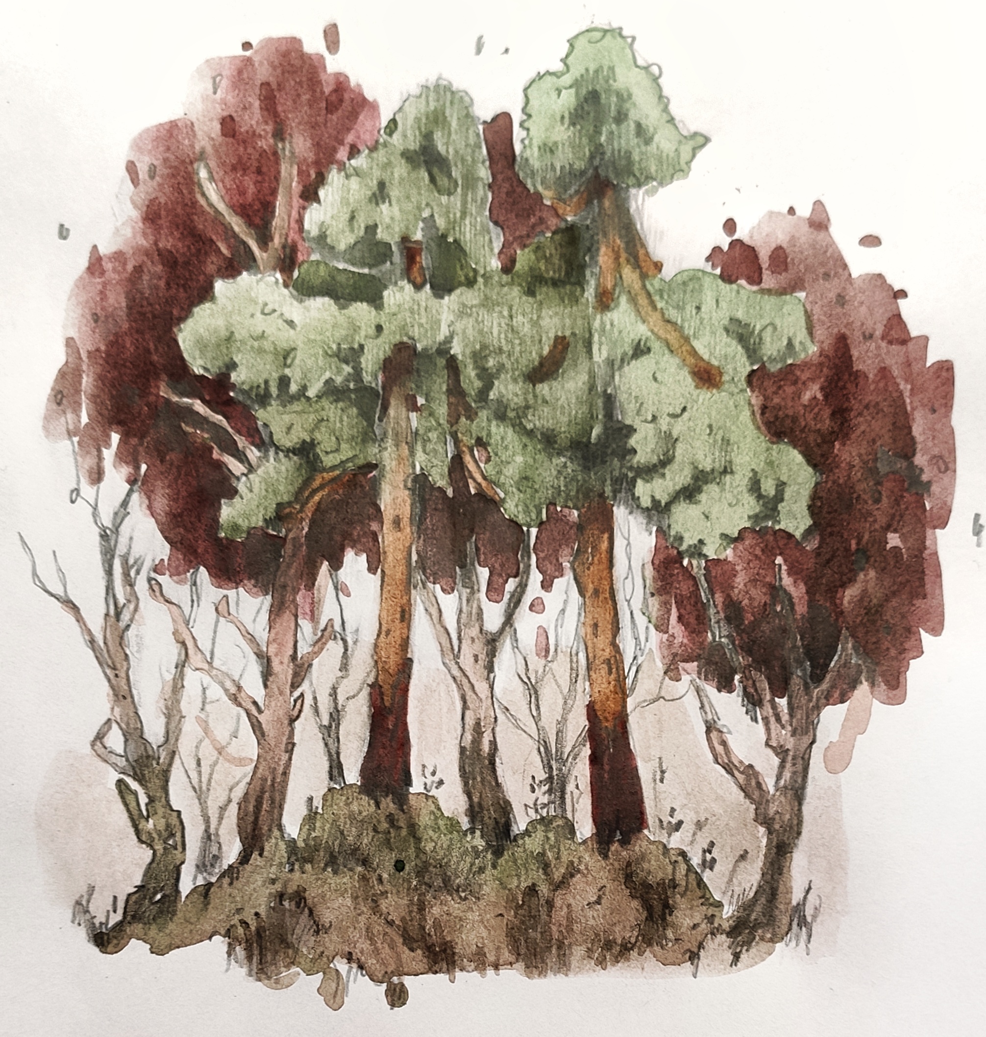 Img 20221016 144942 02