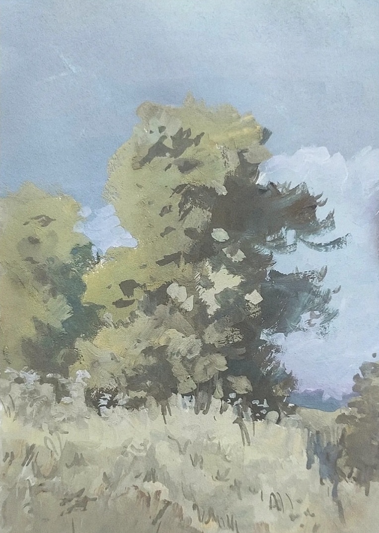 Img 20220810 123005 195 01