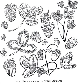 Adult coloring vector page strawberry 260nw 1398500849