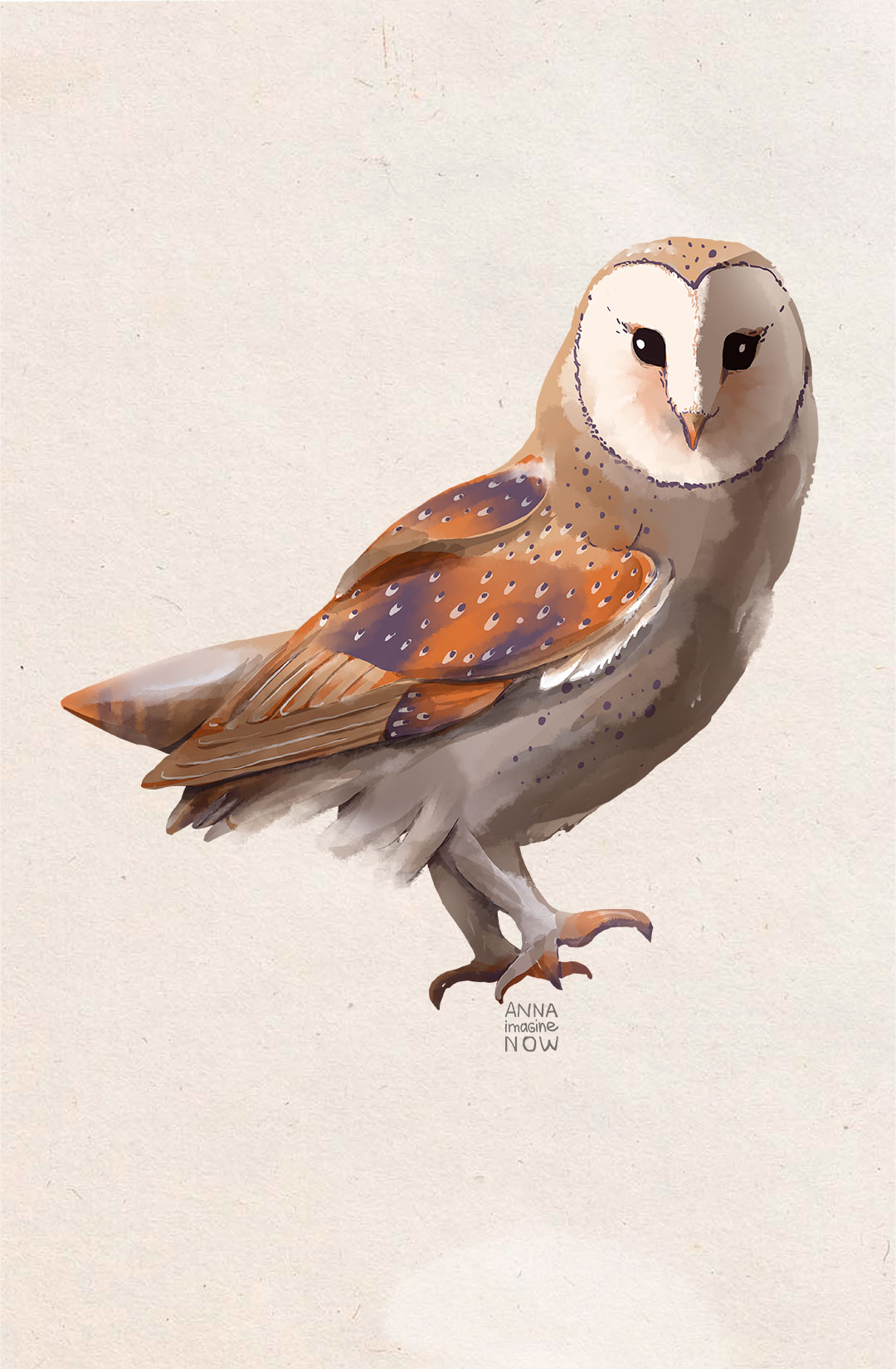 Owl10802