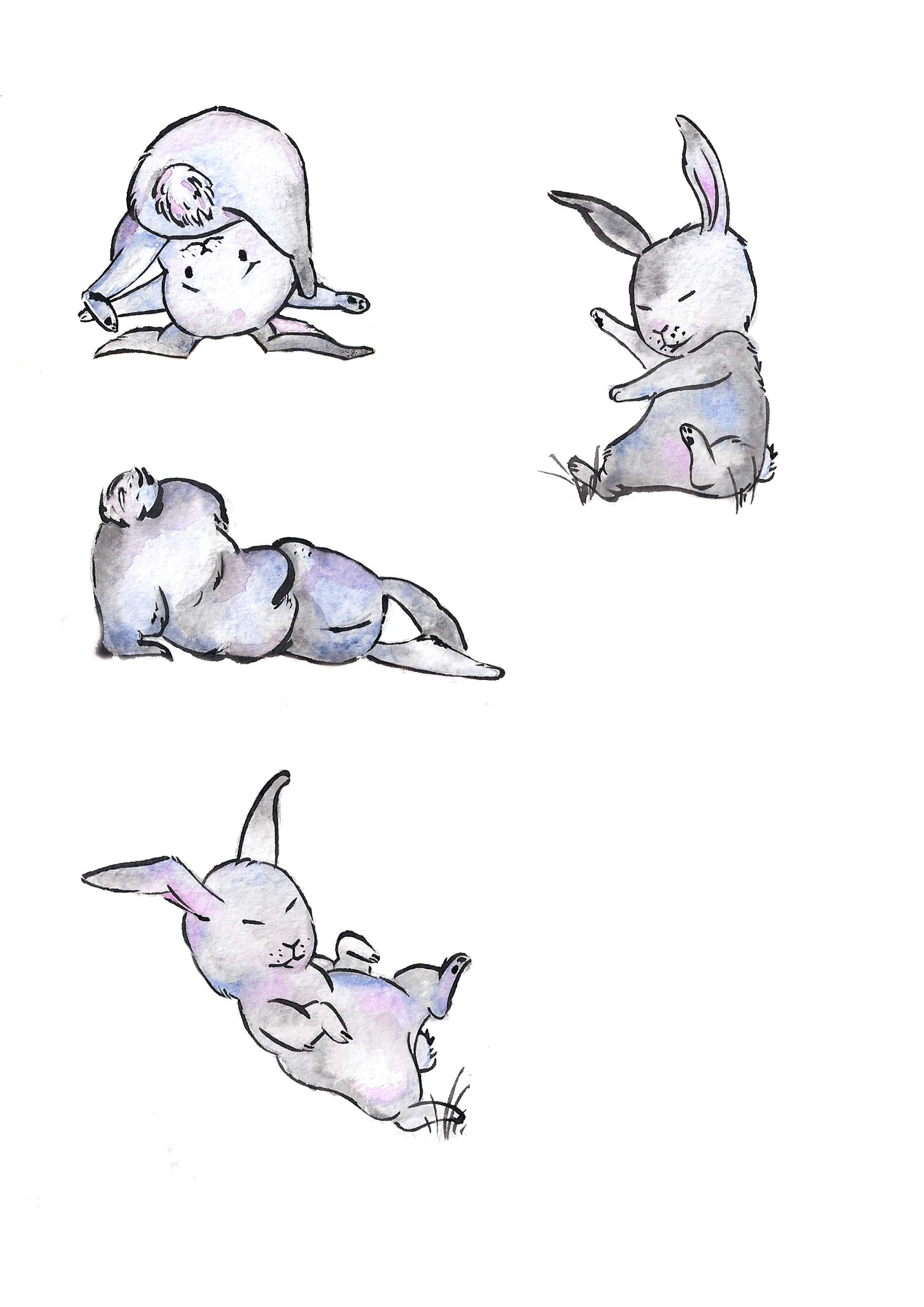 Bunnies 4