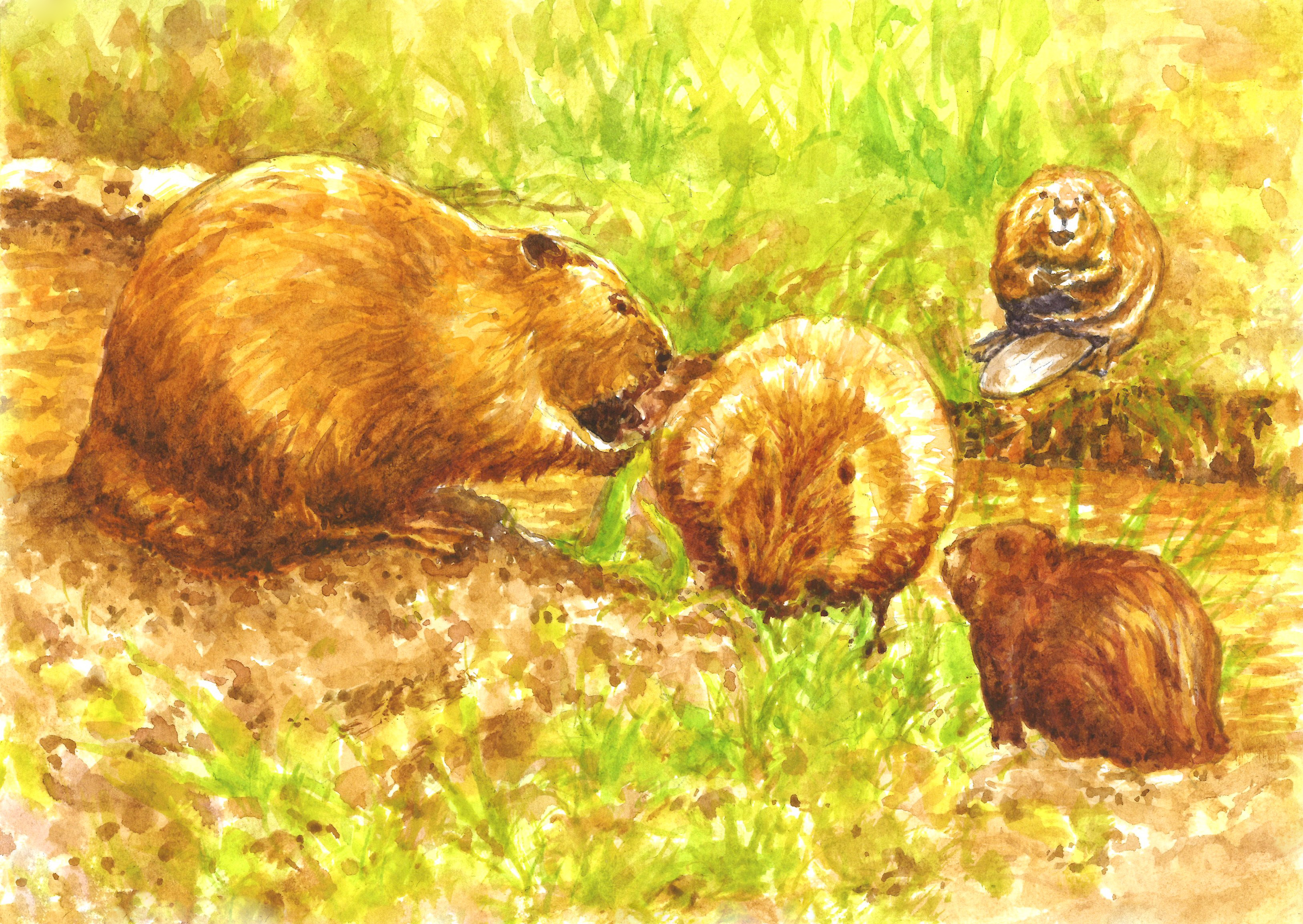 %d1%81%d0%ba%d0%b0%d0%bd%d0%b1%d0%be%d0%b1%d1%80%d1%8b