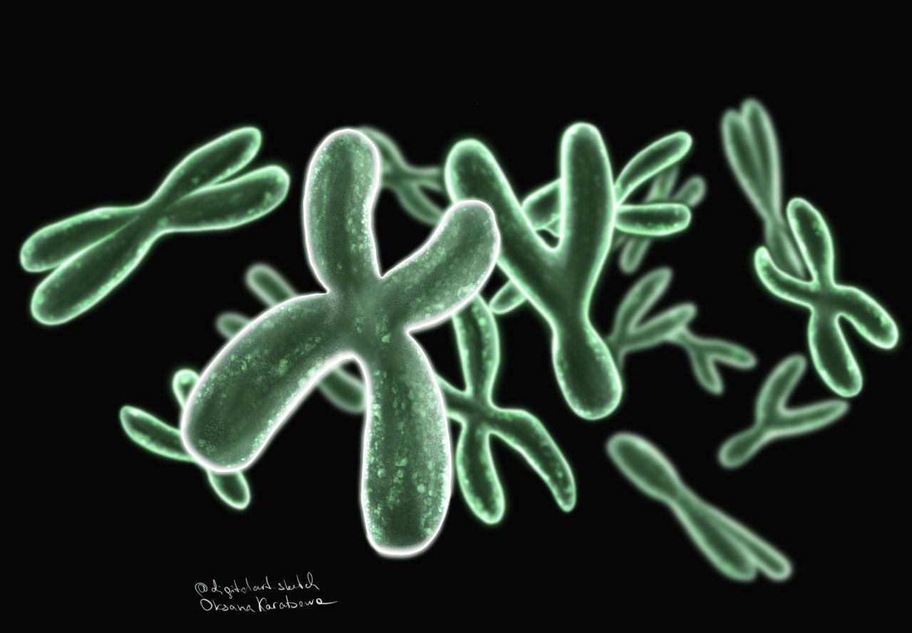 Img 20220828 004521 663