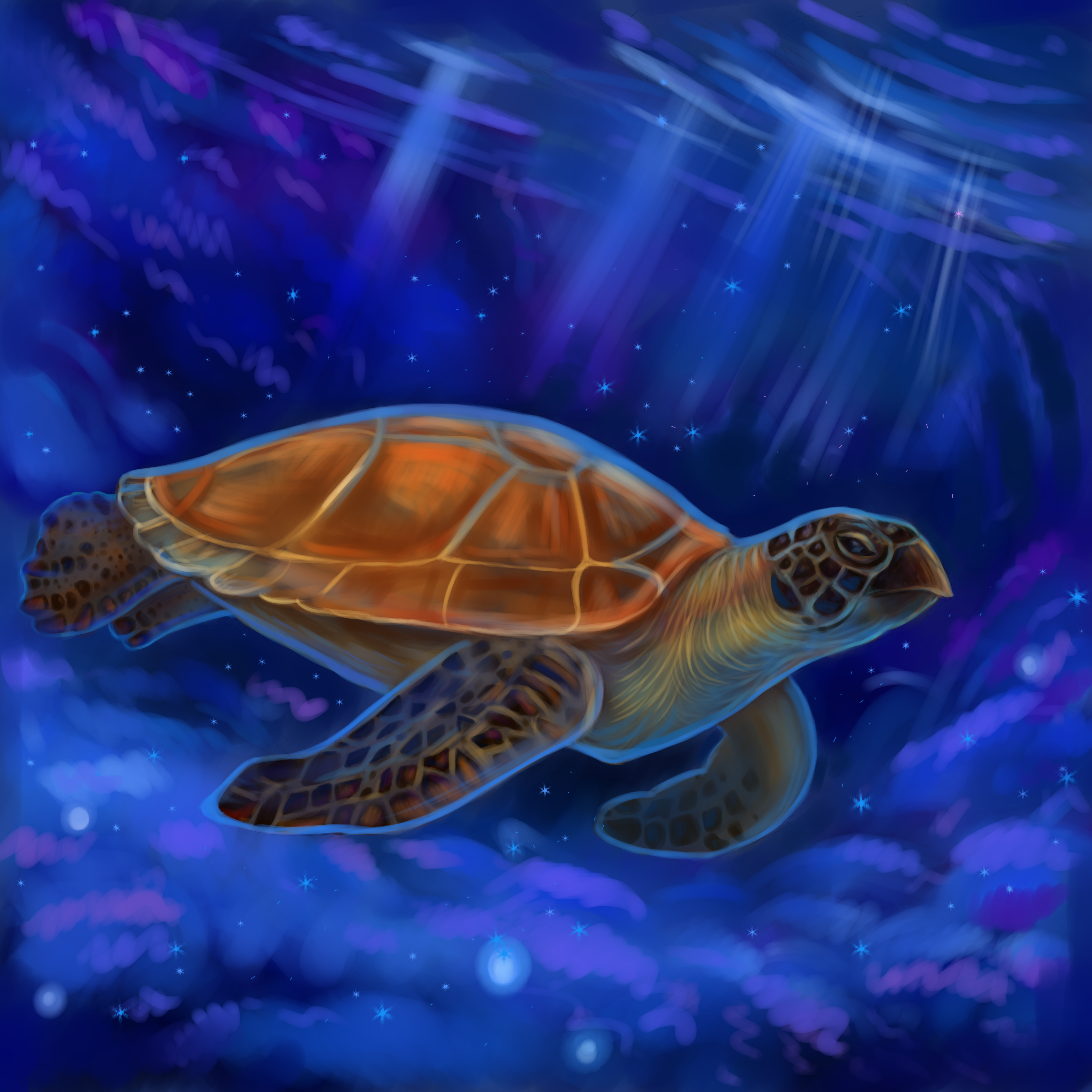 %d0%9c%d0%be%d1%80%d1%81%d0%ba%d0%b8%d0%b5 %d1%87%d0%b5%d1%80%d0%b5%d0%bf%d0%b0%d1%85%d0%b8