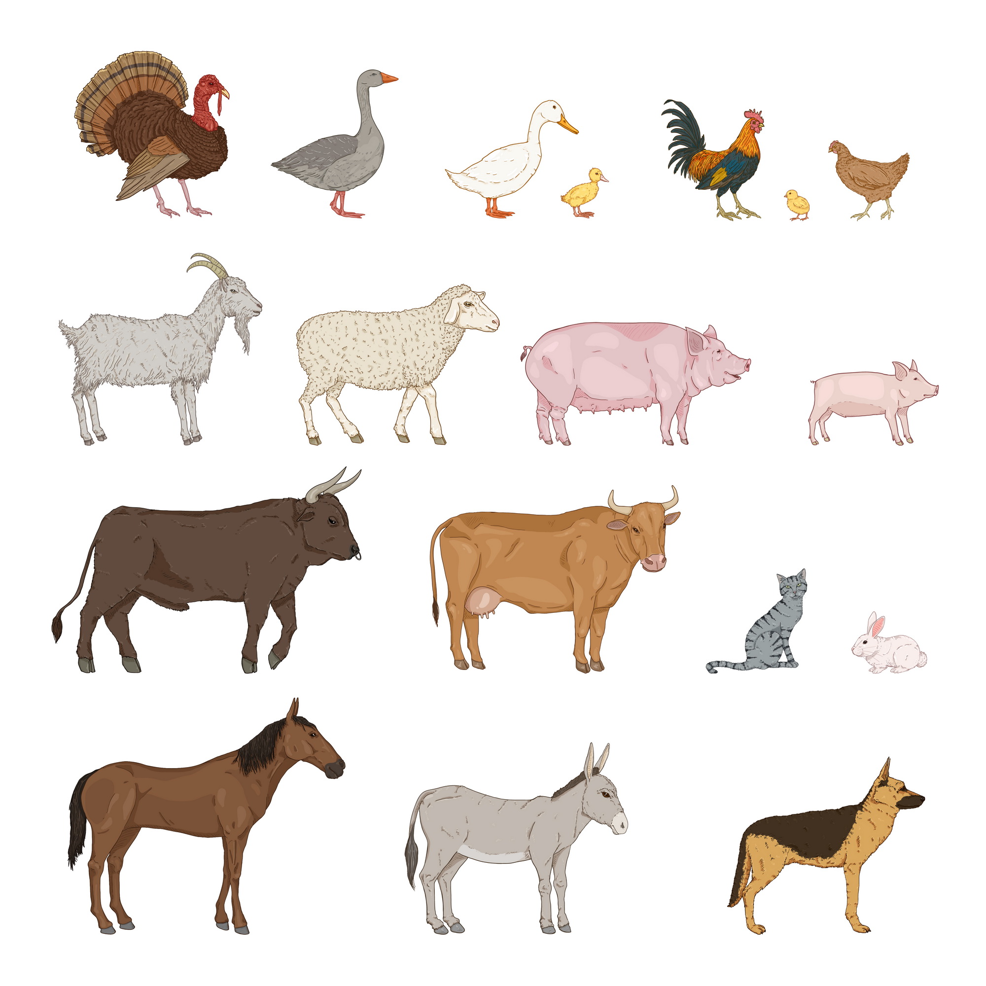 Farm animals set cartoon