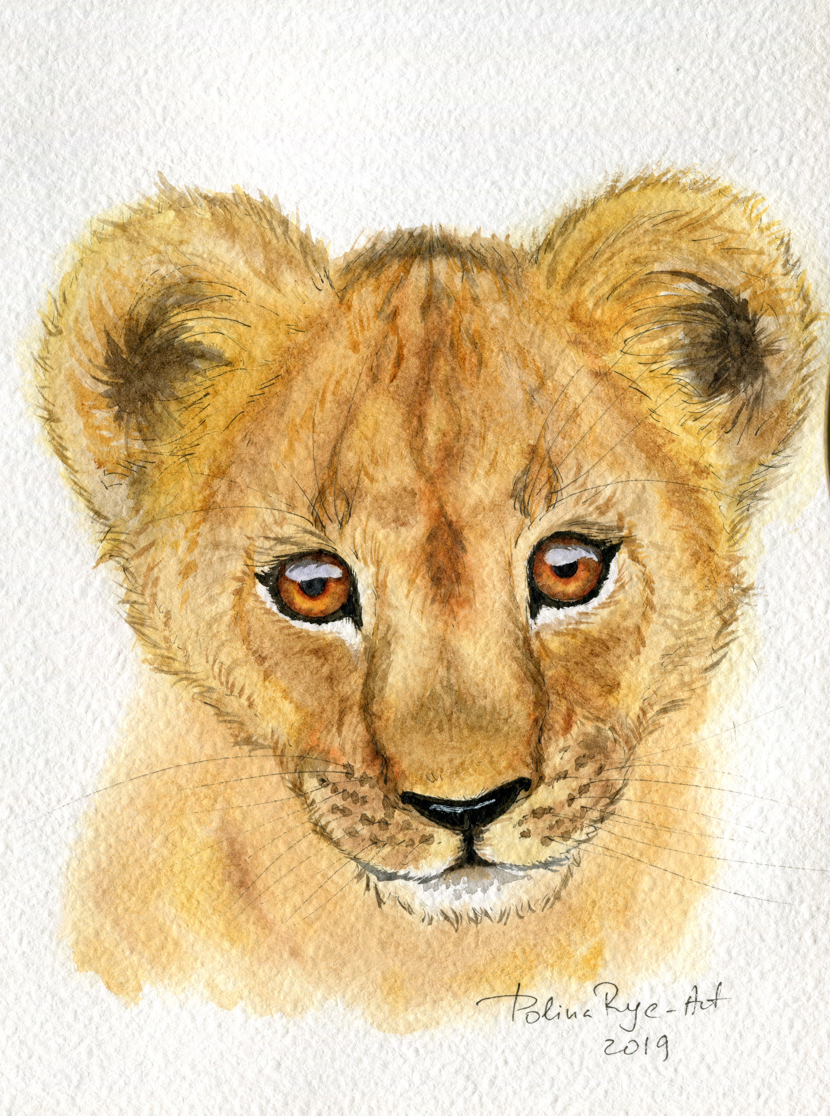Lion186