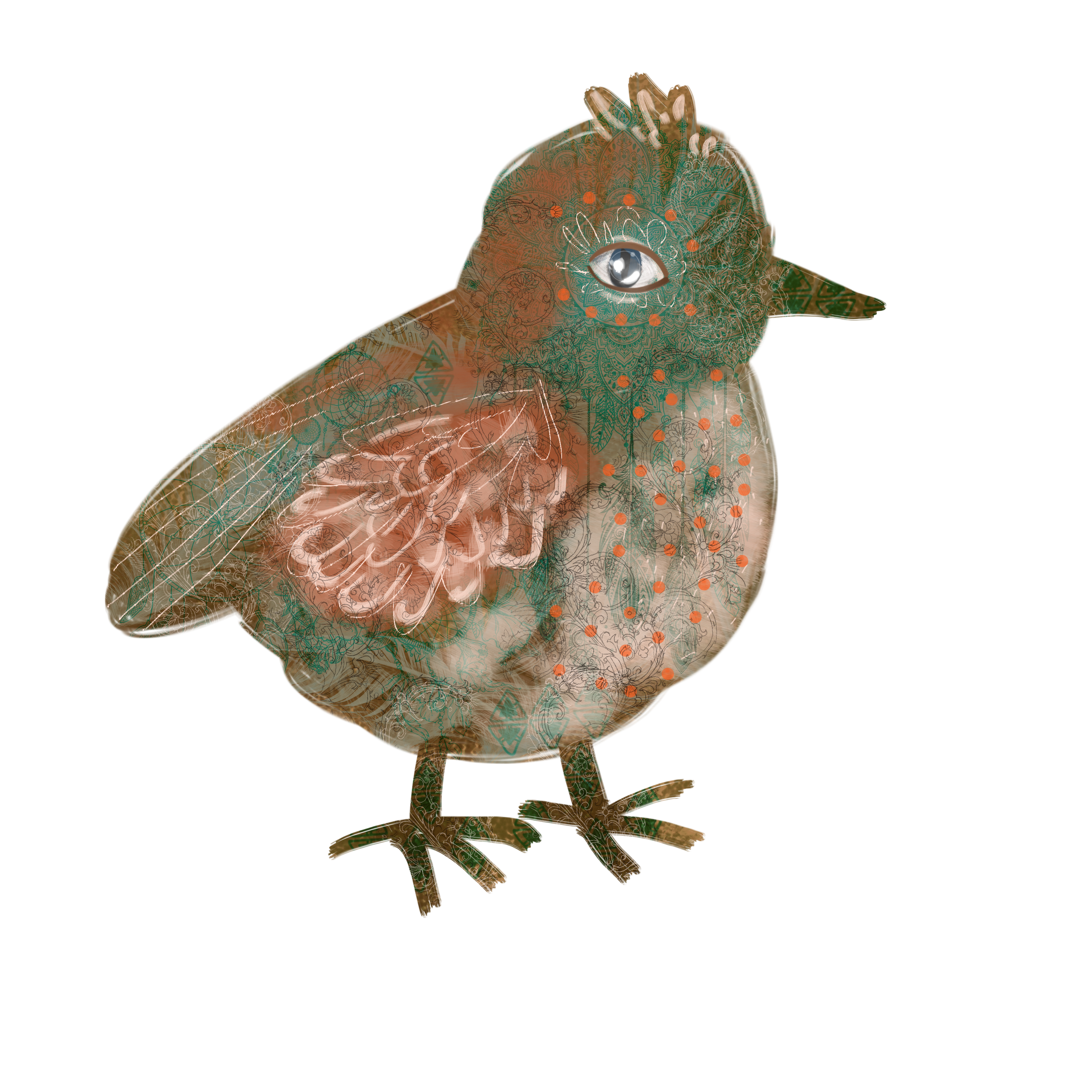 %d0%bf%d1%82%d0%b8%d1%86%d0%b0