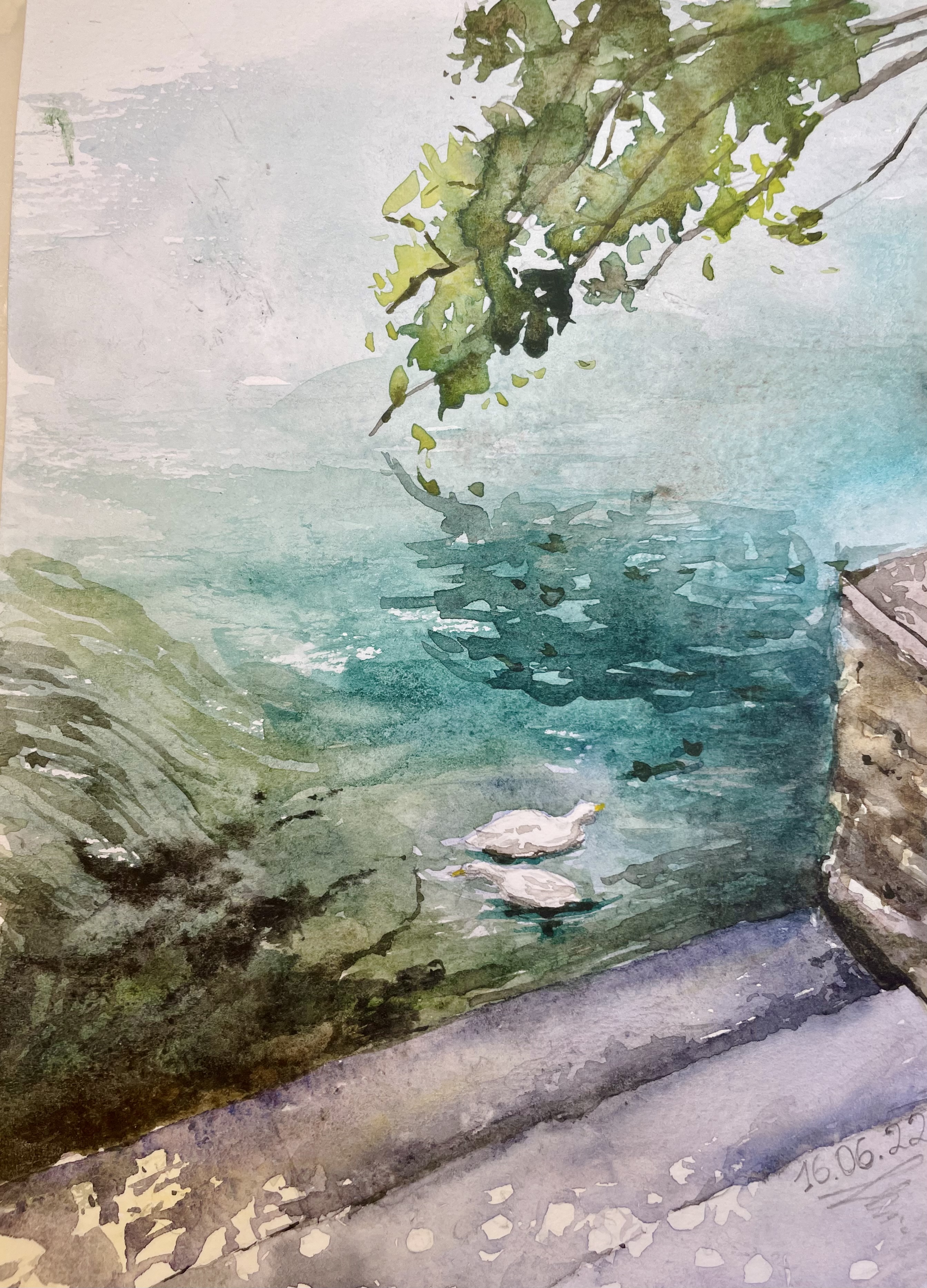 266c6e52 35e8 454a b101 dd6818e0fbed