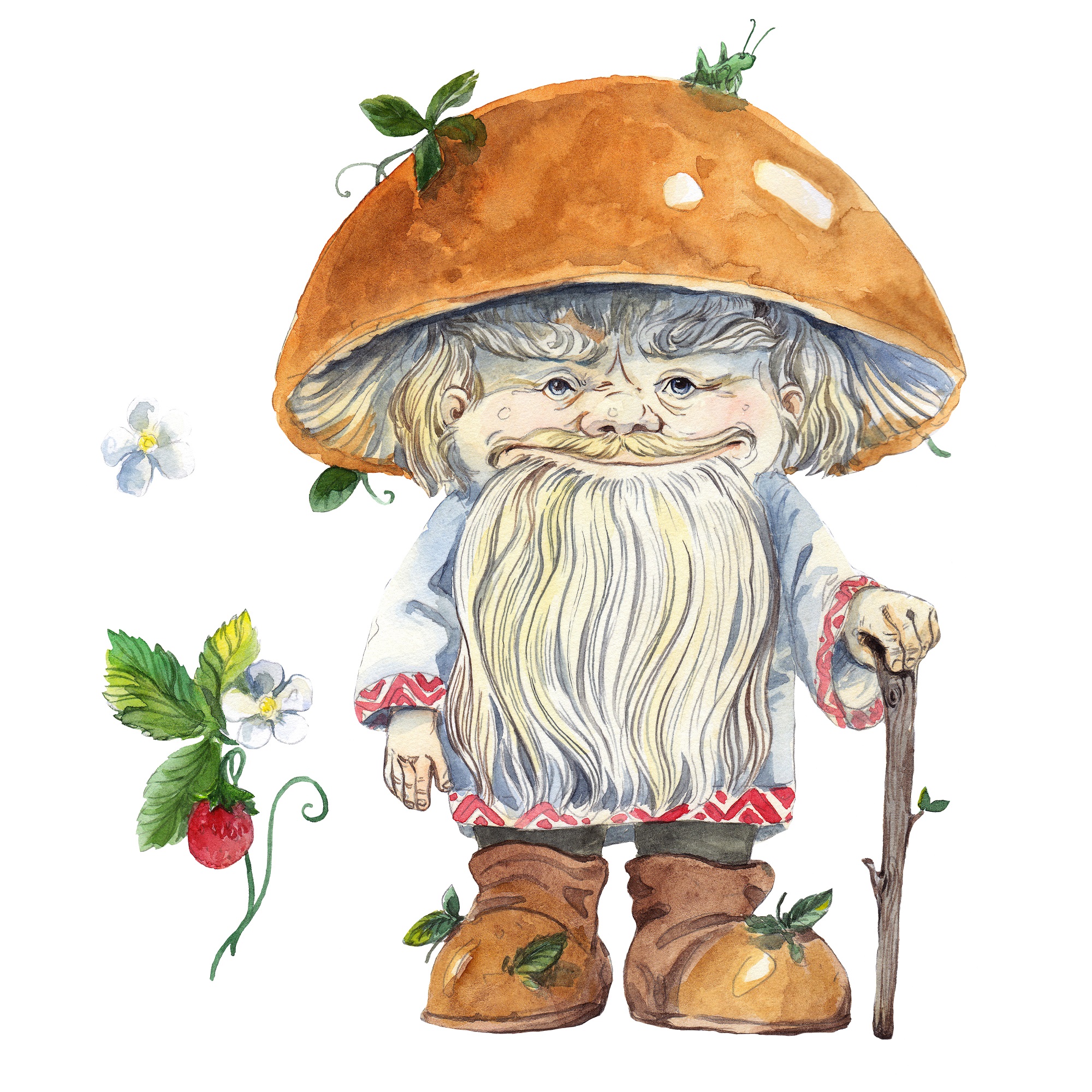 Mushroom old man 1