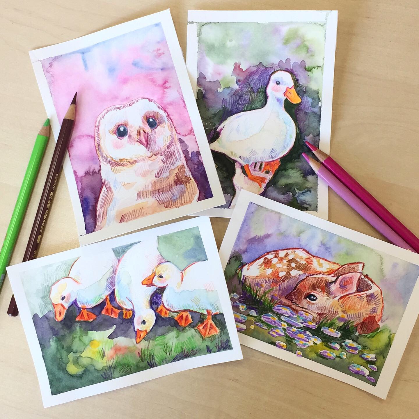 7bdbea4b c026 46c5 82c0 9f01f1981011