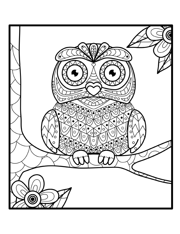 Owl3