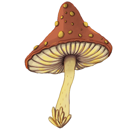 Mushroom1