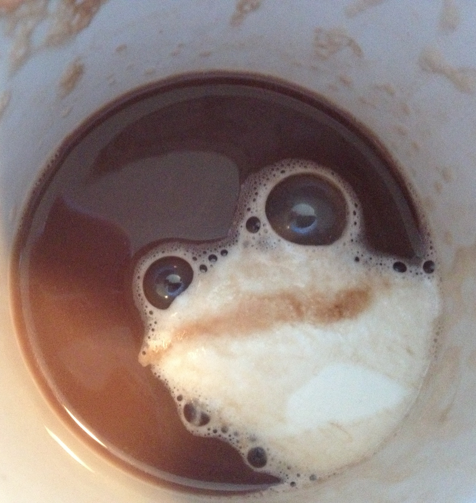 The hypnotoad is everywhere