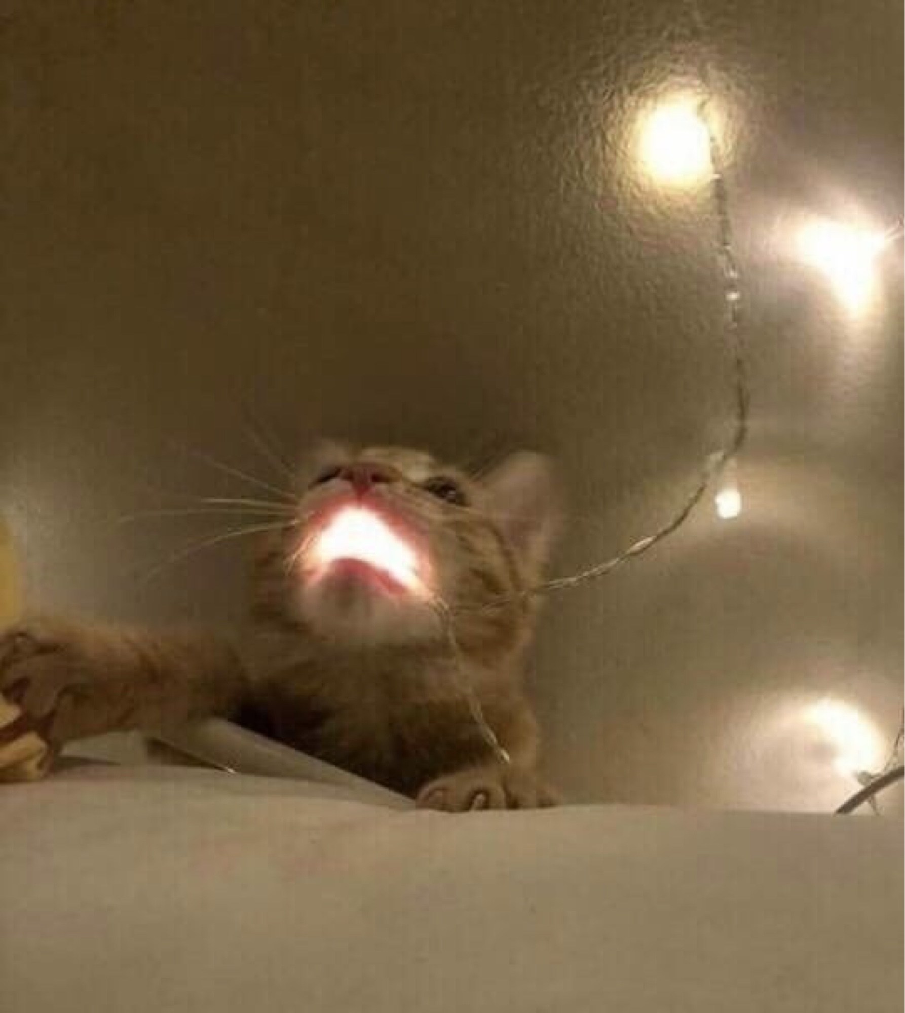 317718