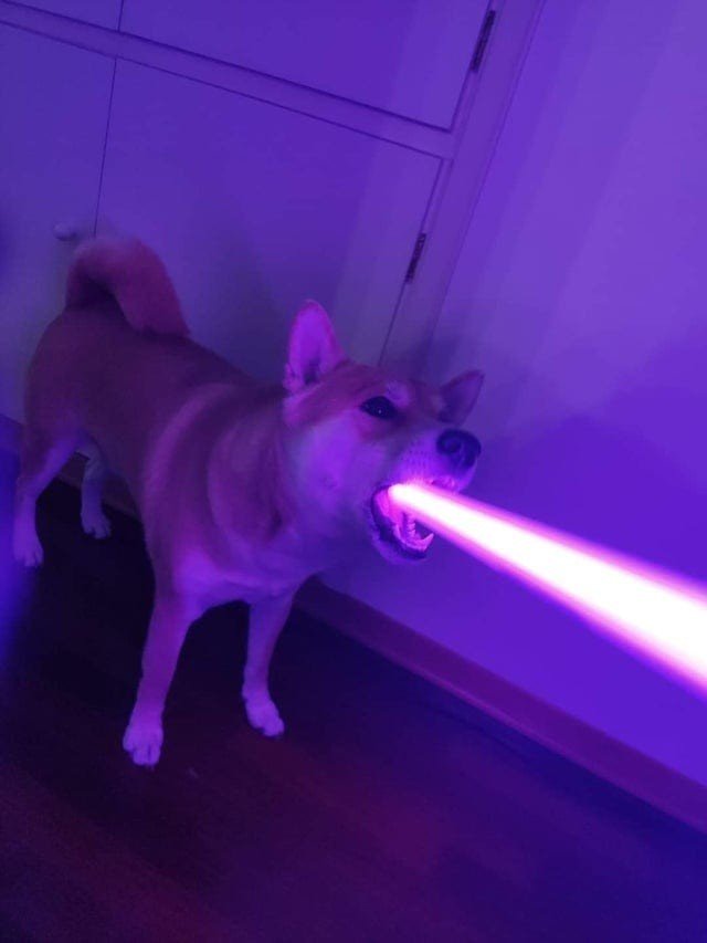 2022 10 10 5128
