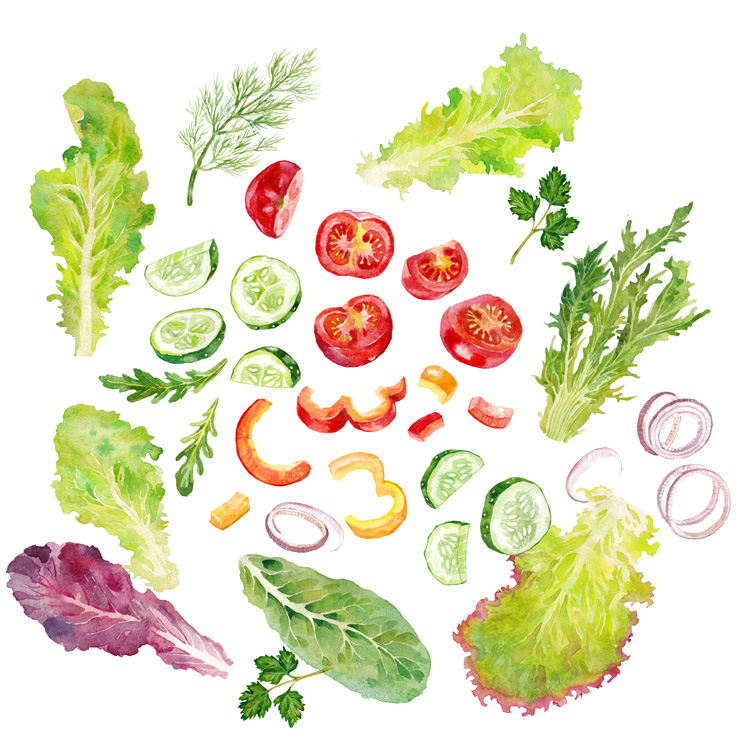 Vegetables and herbs for salad