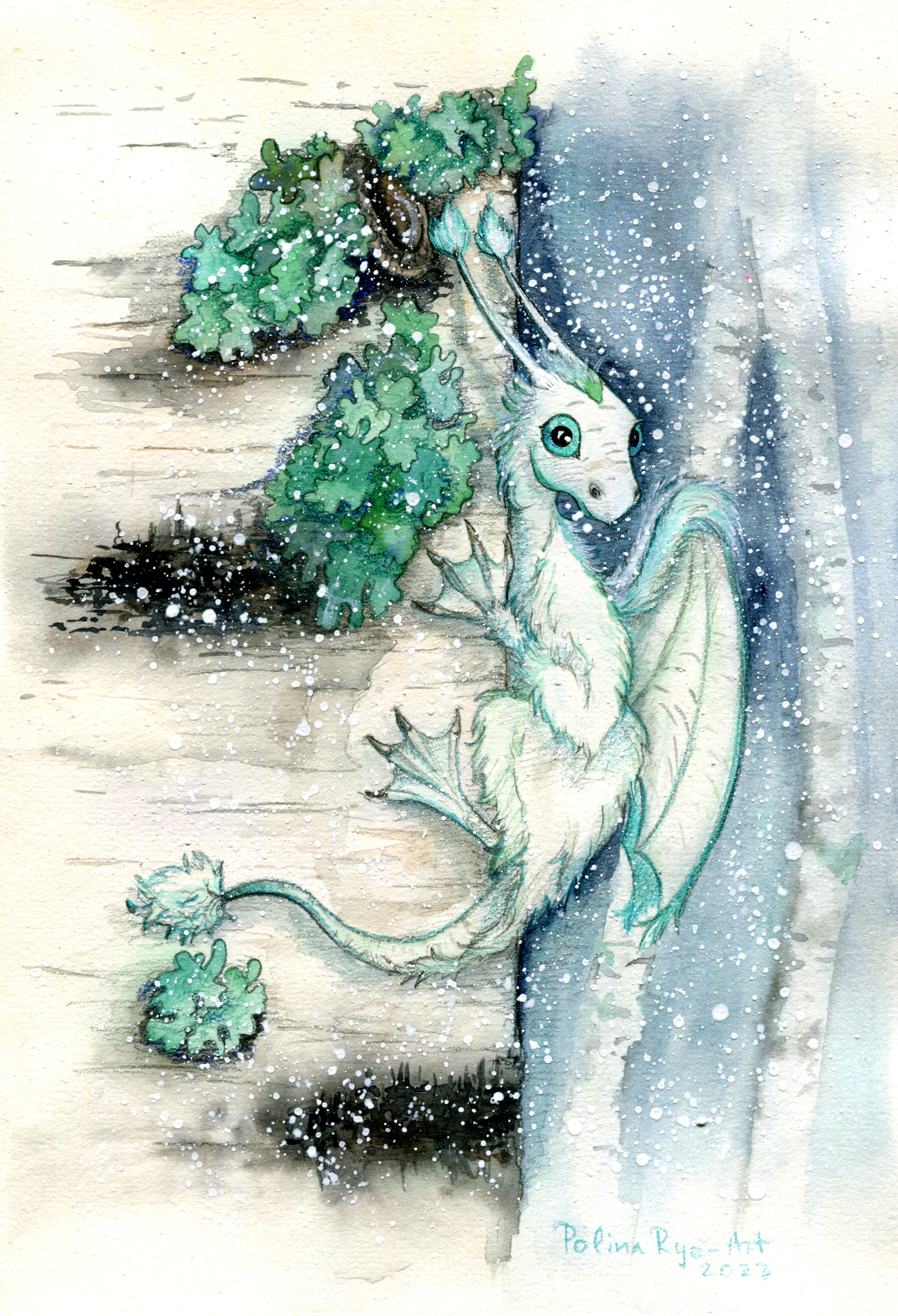 Winter dragon053